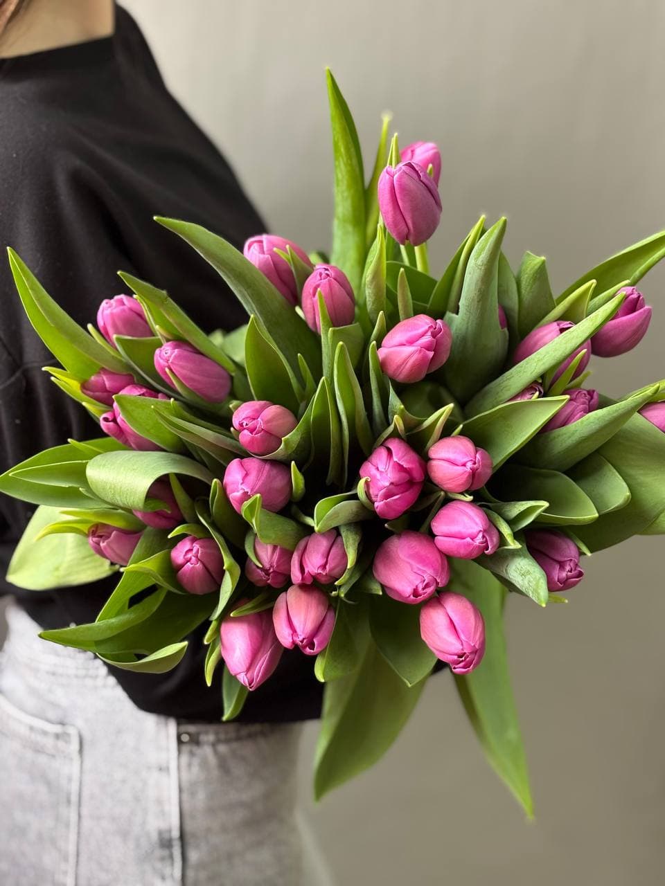 Тюльпан сиреневый