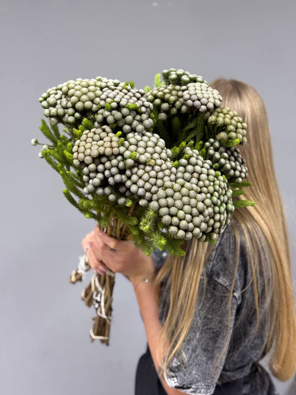 Бруния Альбифлора