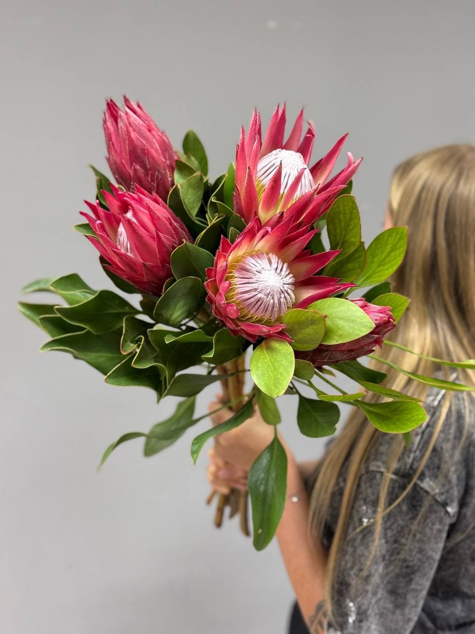 Протея Мадиба