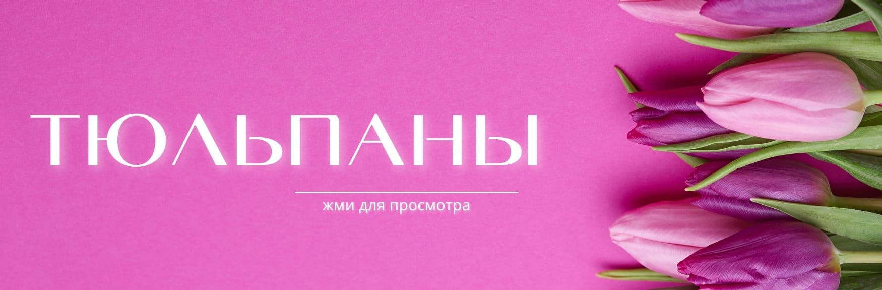 Горячие предложения от DolinaRoz