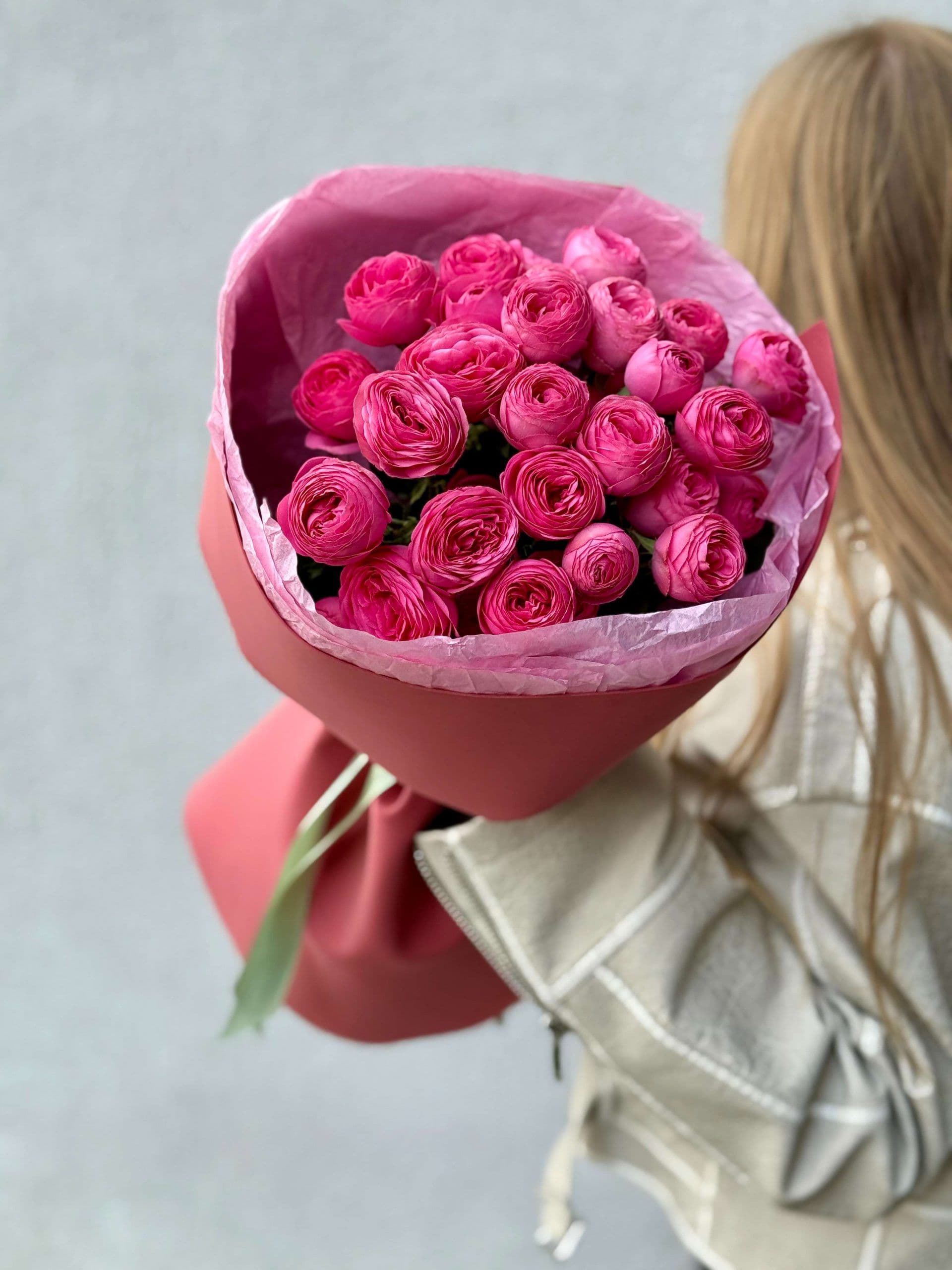 7 bush peony roses Giselle "Gabrielle"