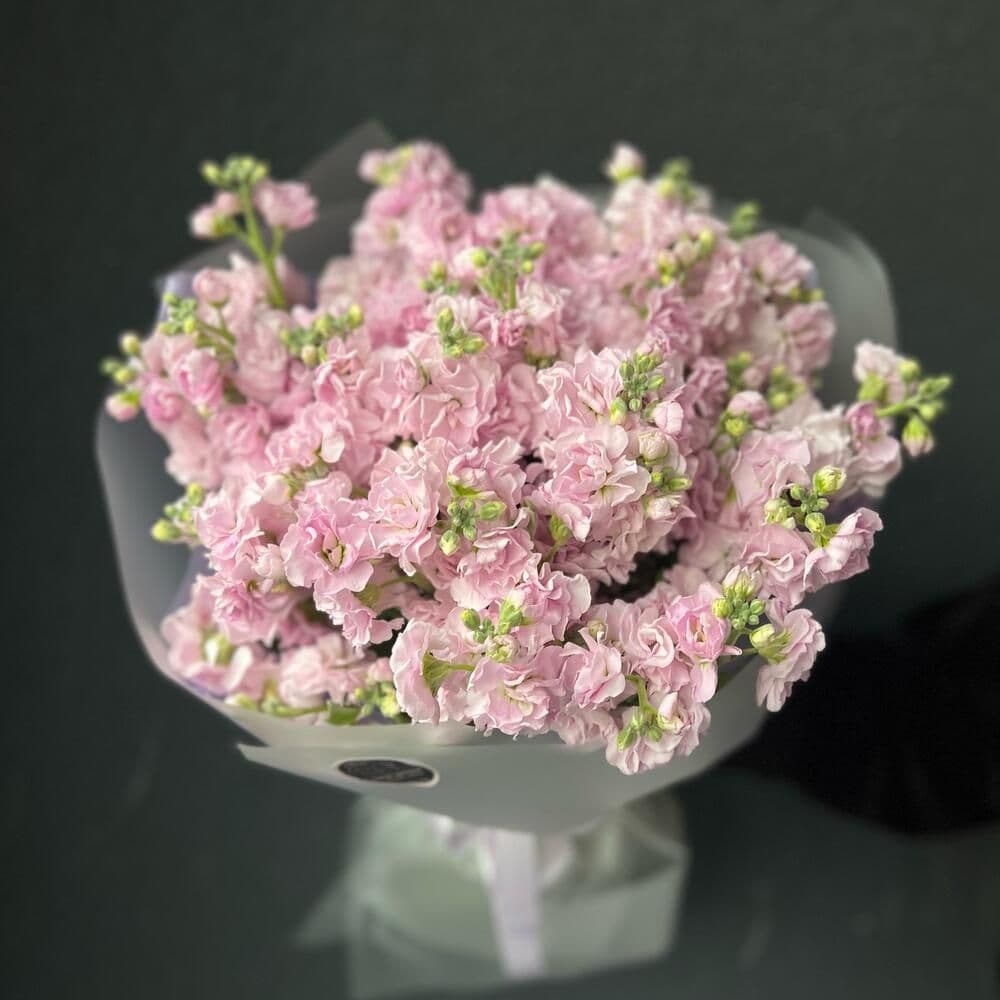 Bouquet of Matthiola "Duffy"