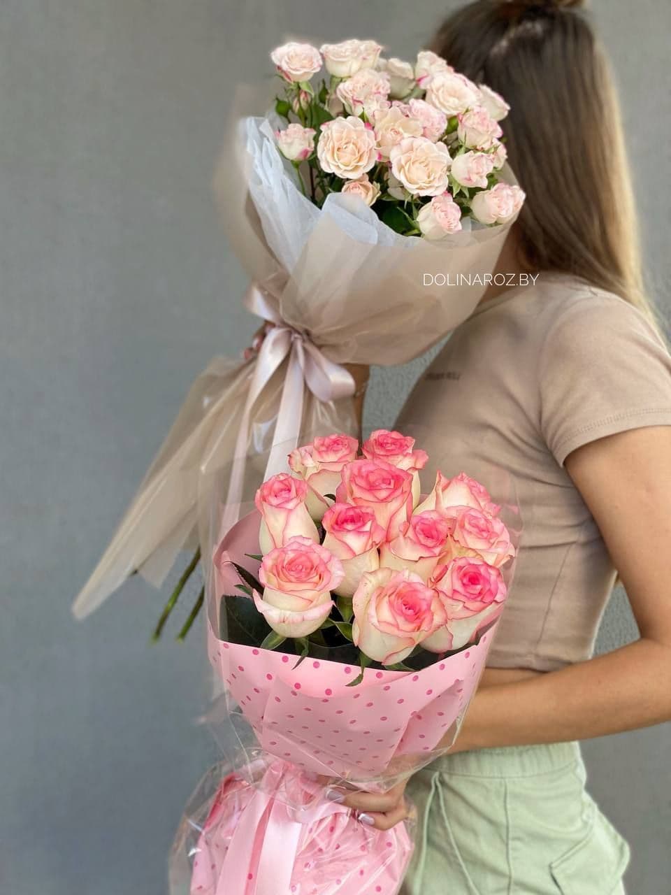 5 Reflex "Refined" bush roses