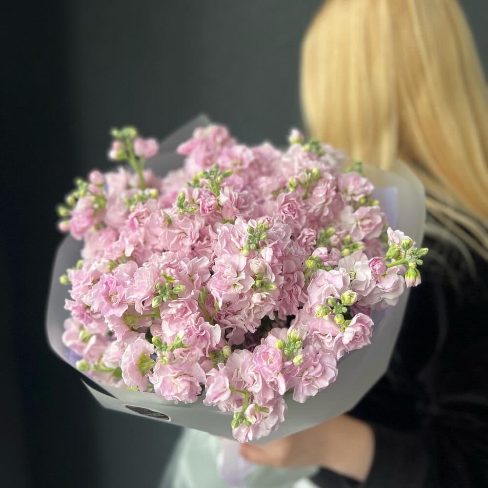 Bouquet of Matthiola "Duffy"