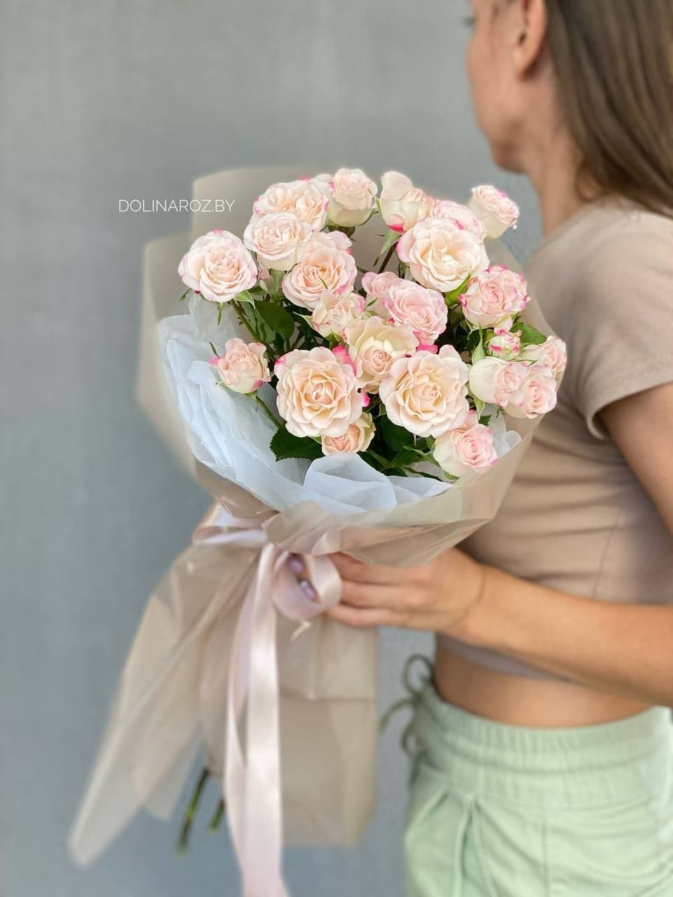 5 Reflex "Refined" bush roses
