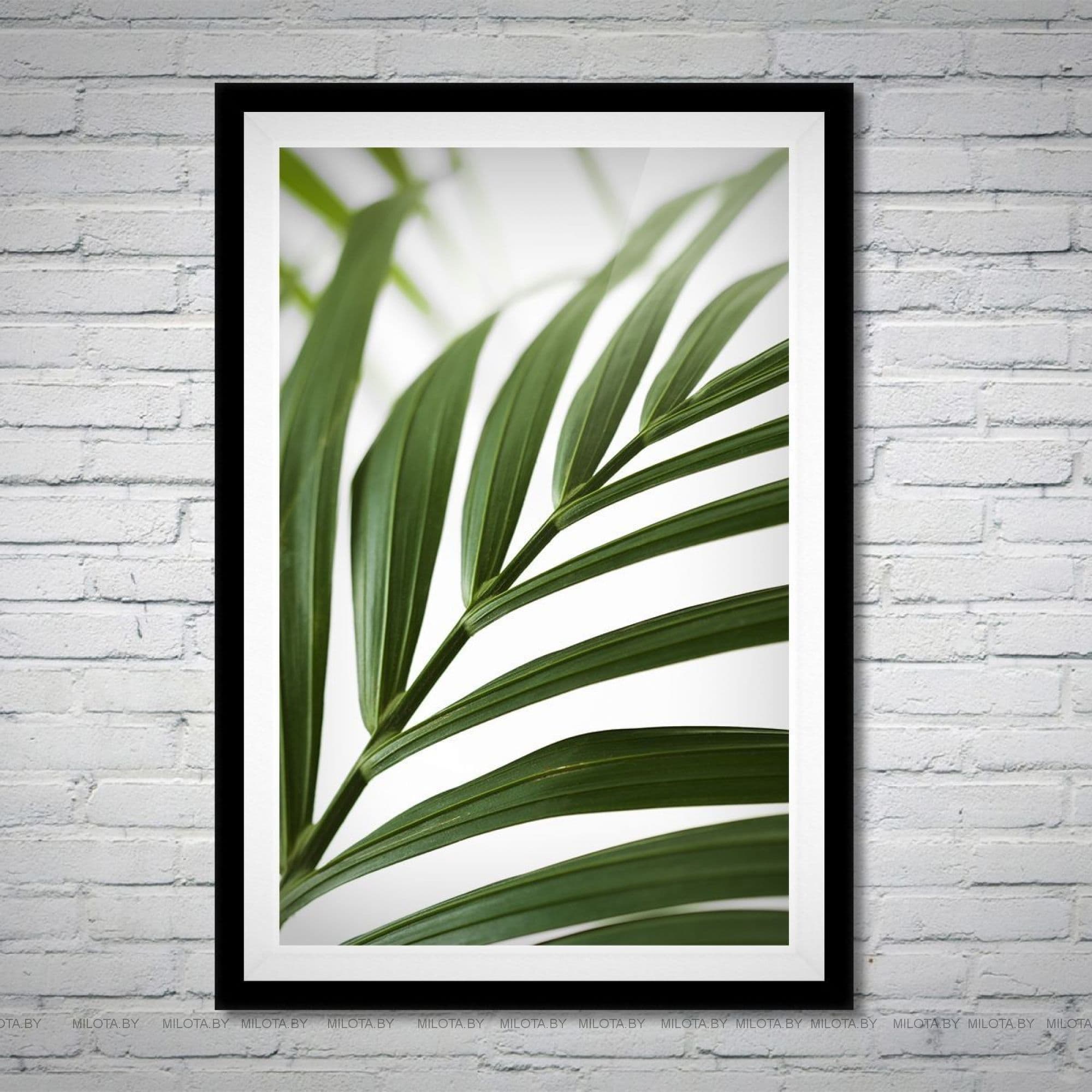 "Proteus" poster