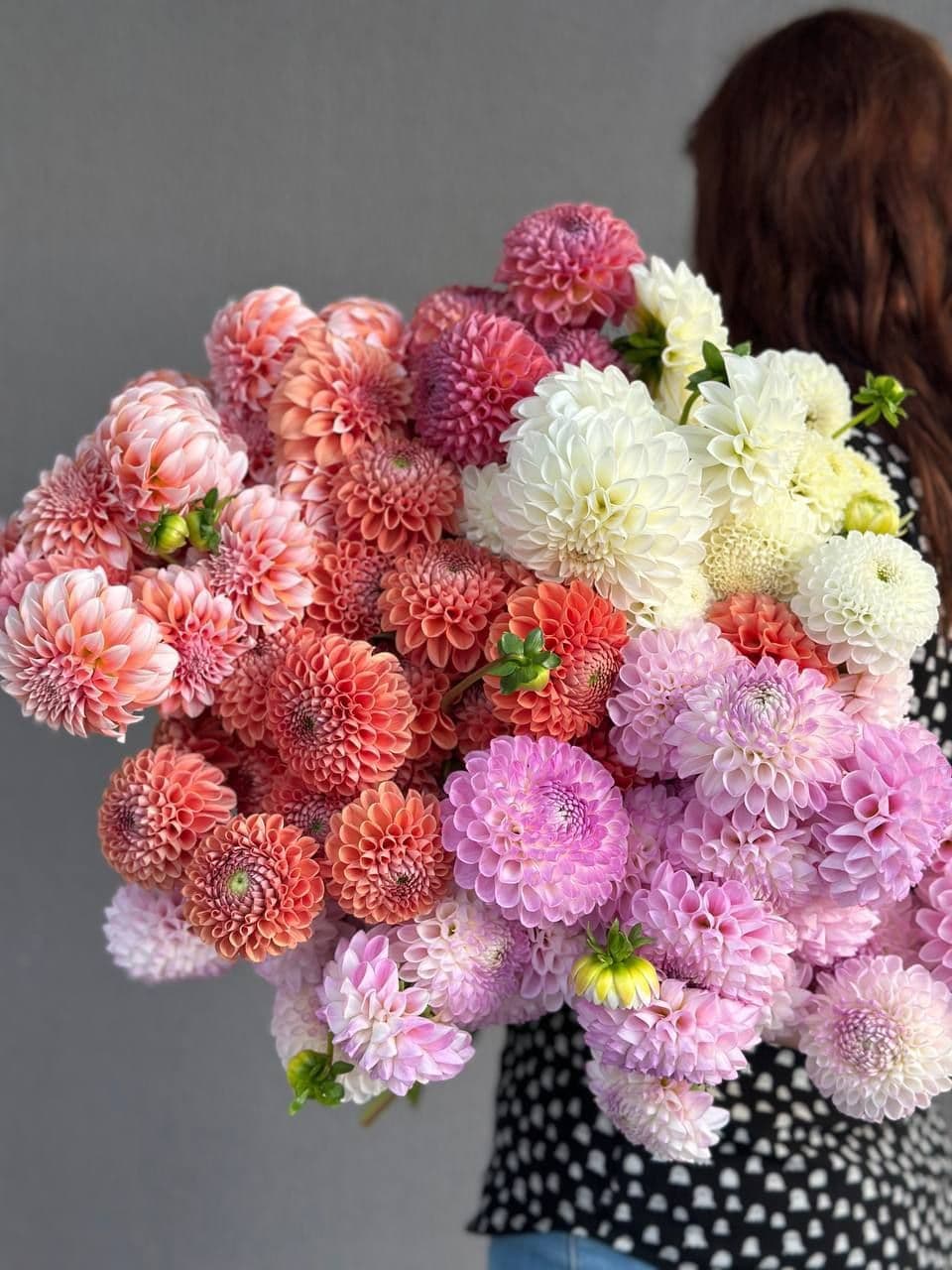 Hydrangea purple