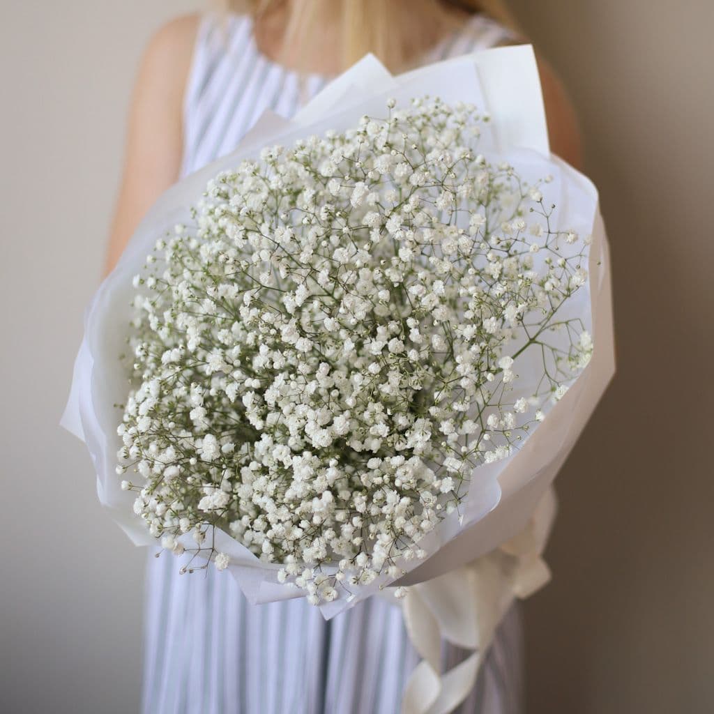 Gypsophila white
