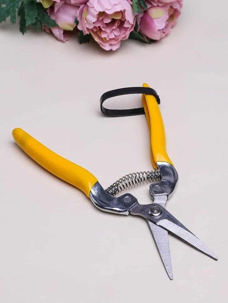Pruning shears (different colors)