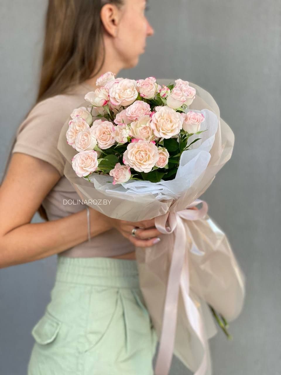 5 Reflex "Refined" bush roses