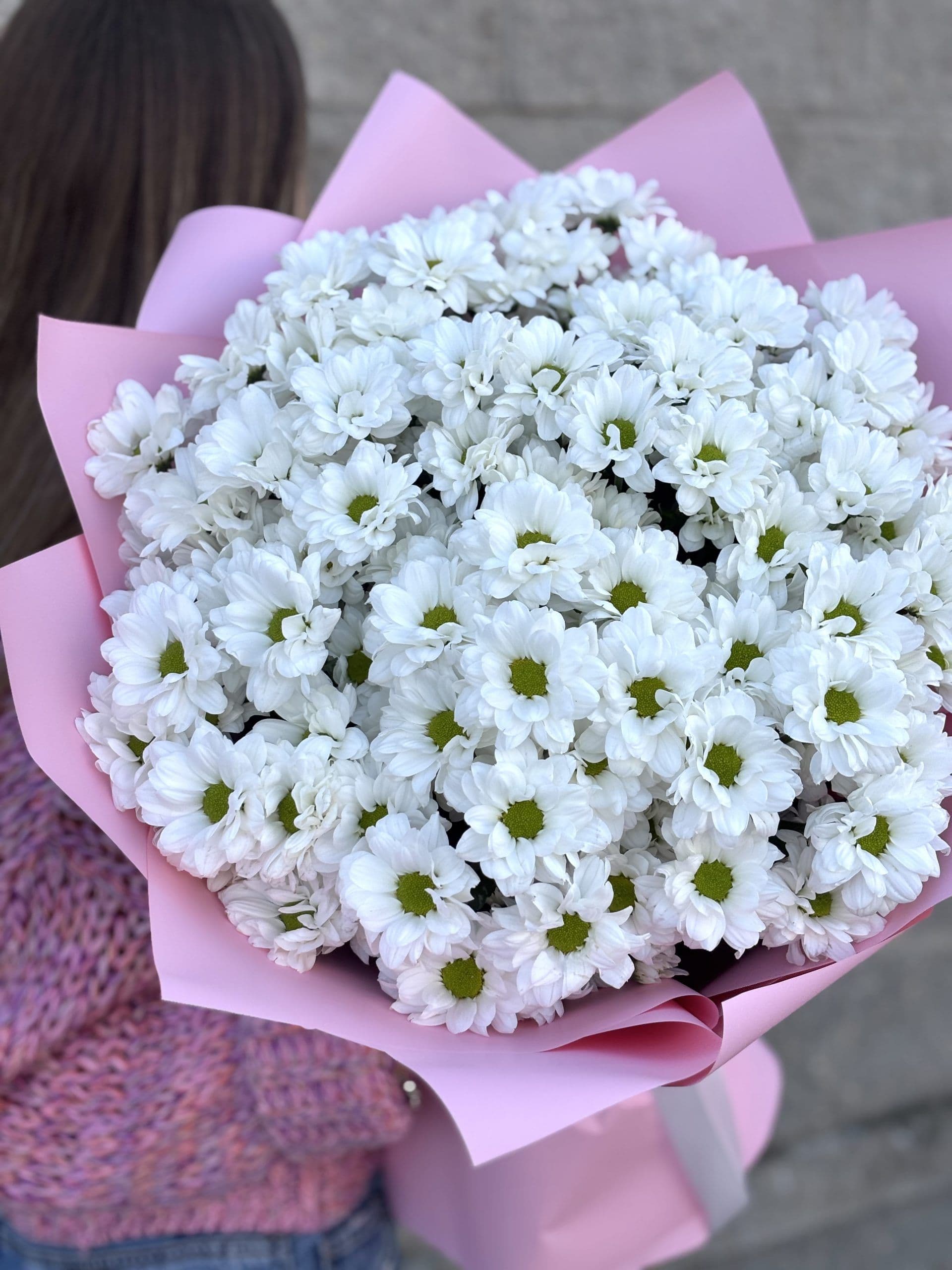 11 white daisies "Turin"