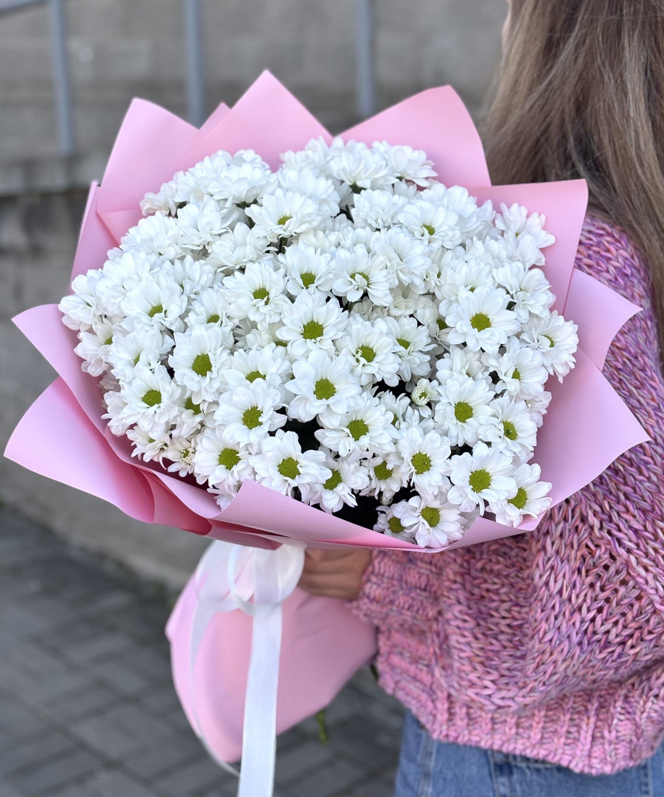 11 white daisies "Turin"