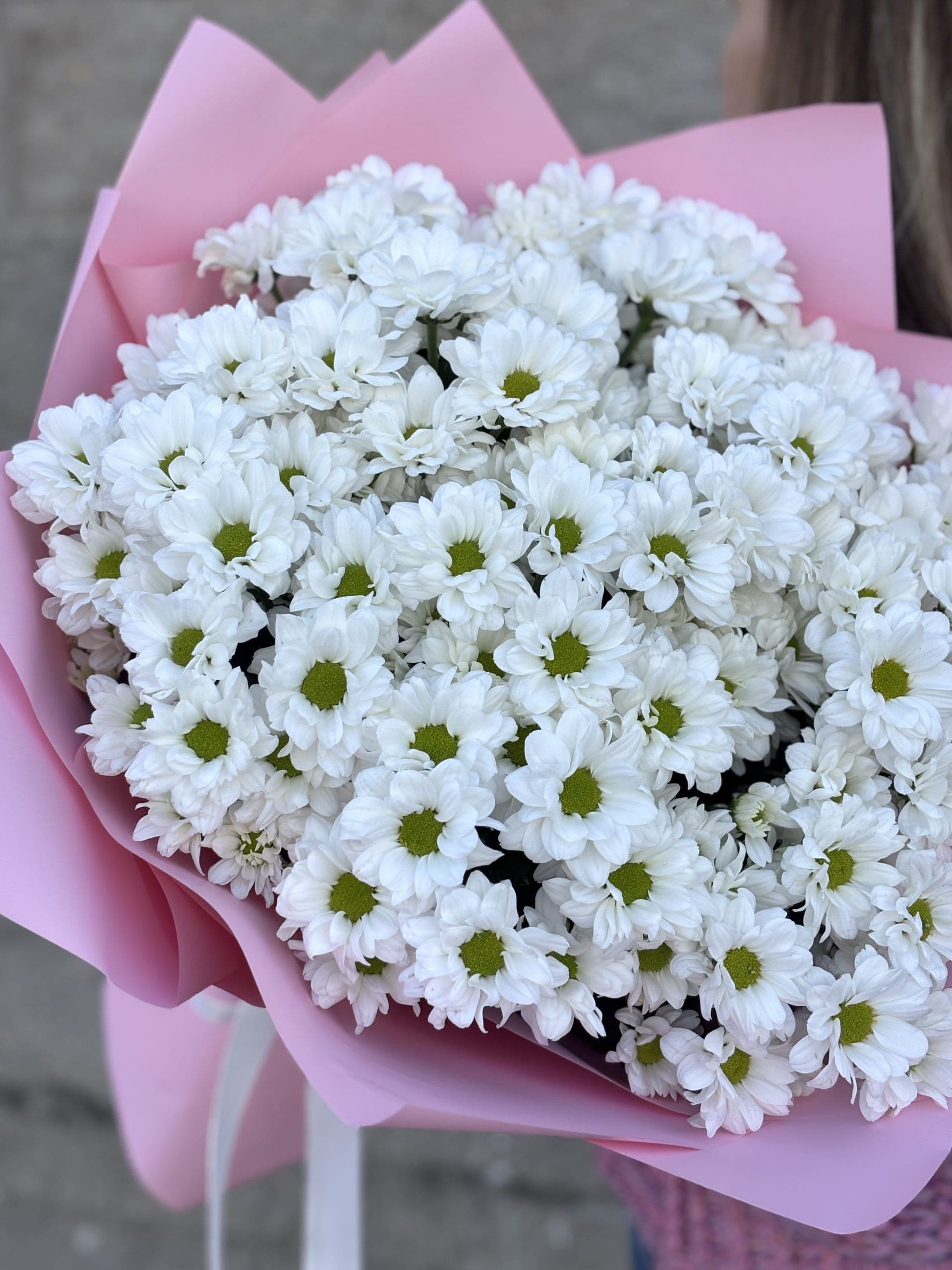 11 white daisies "Turin"