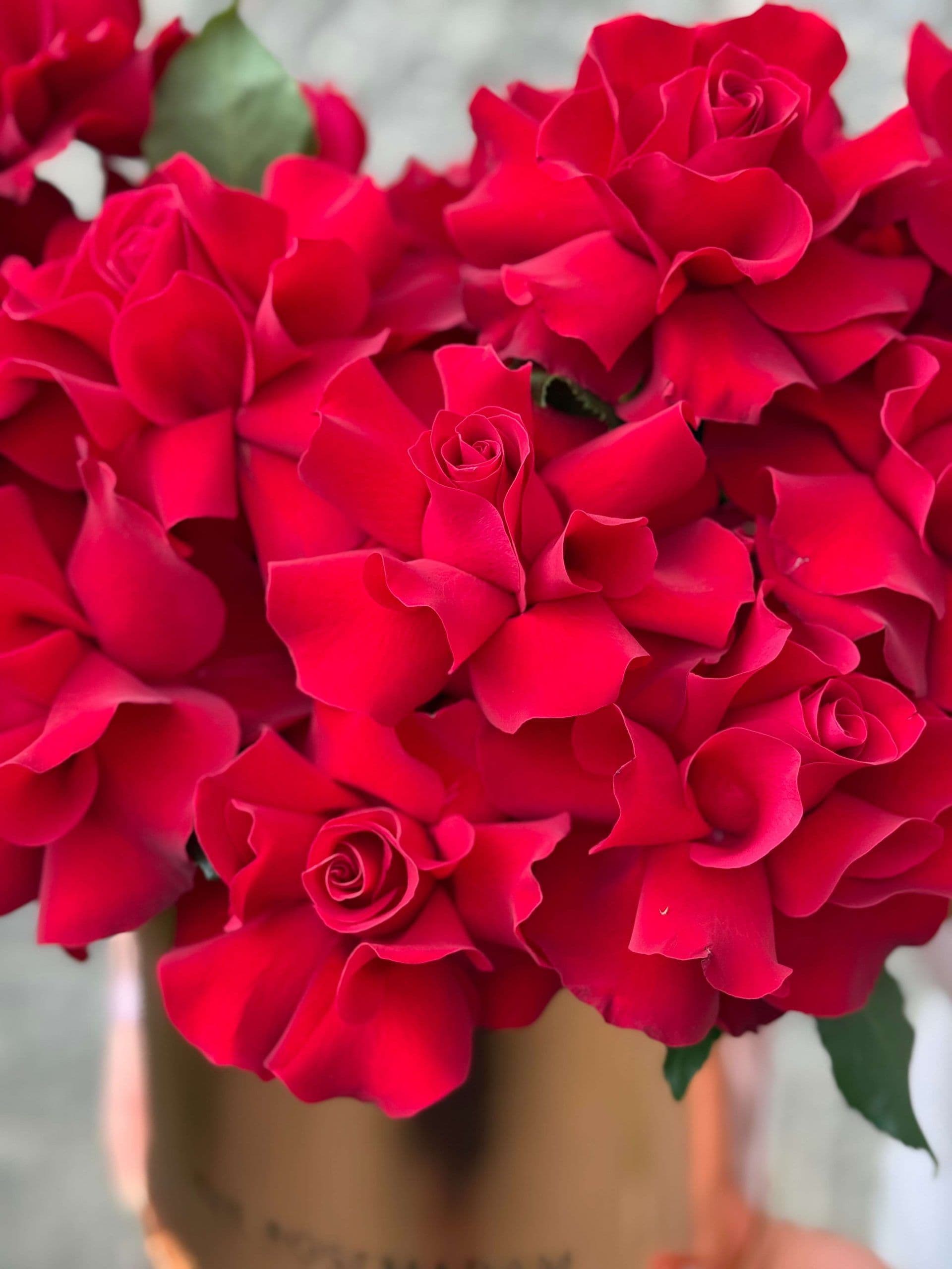 French Roses in a Box "Red Onyx"
