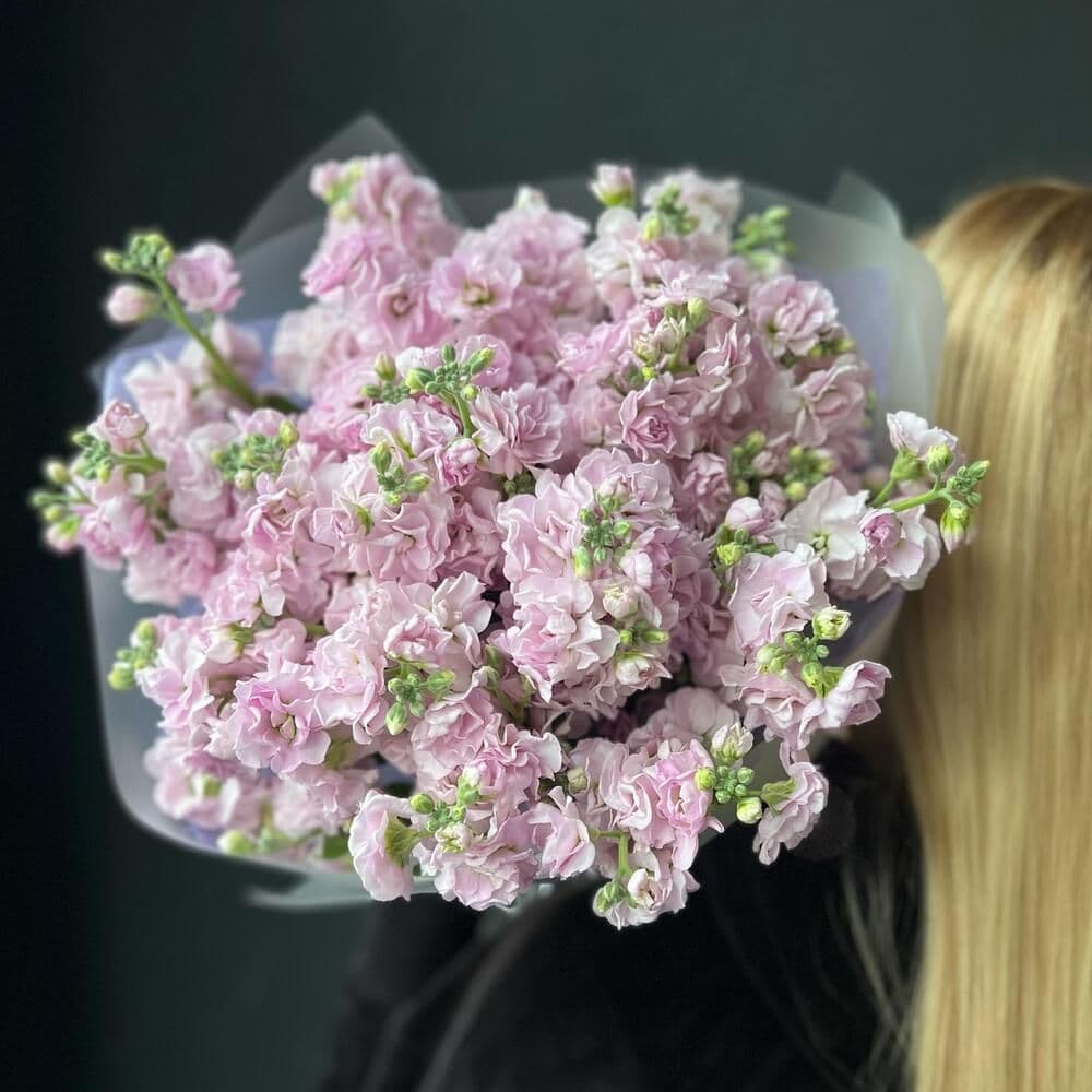 Bouquet of Matthiola "Duffy"