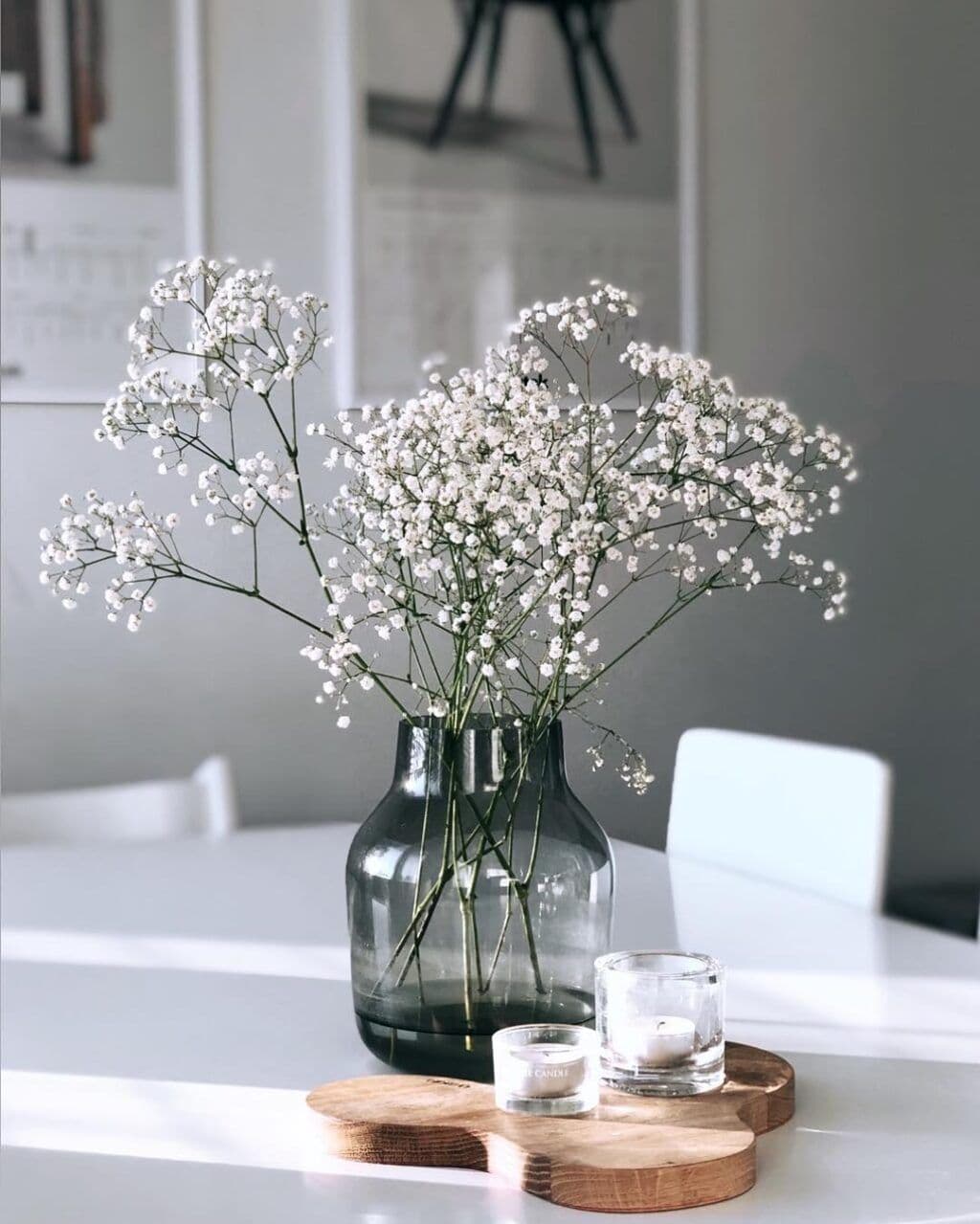 Gypsophila white
