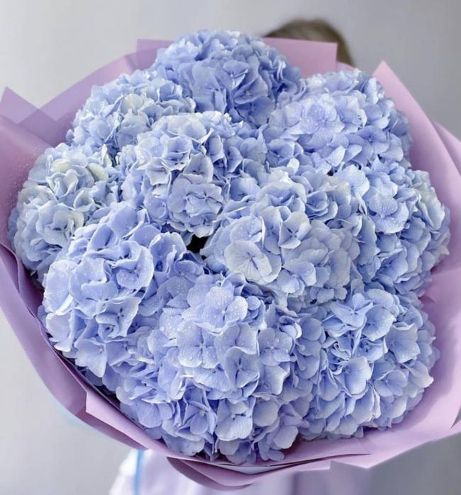Bouquet of hydrangeas "Blue glaze"