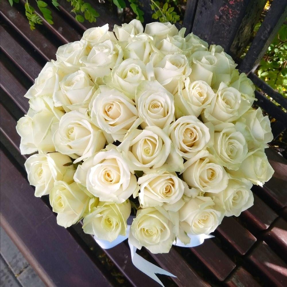 Box with 35 white roses