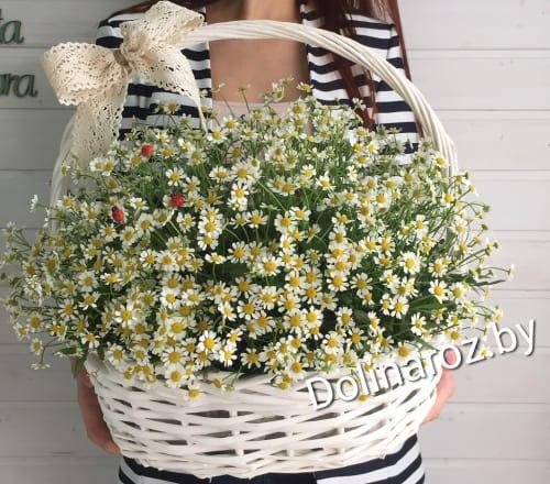 Basket with field daisies