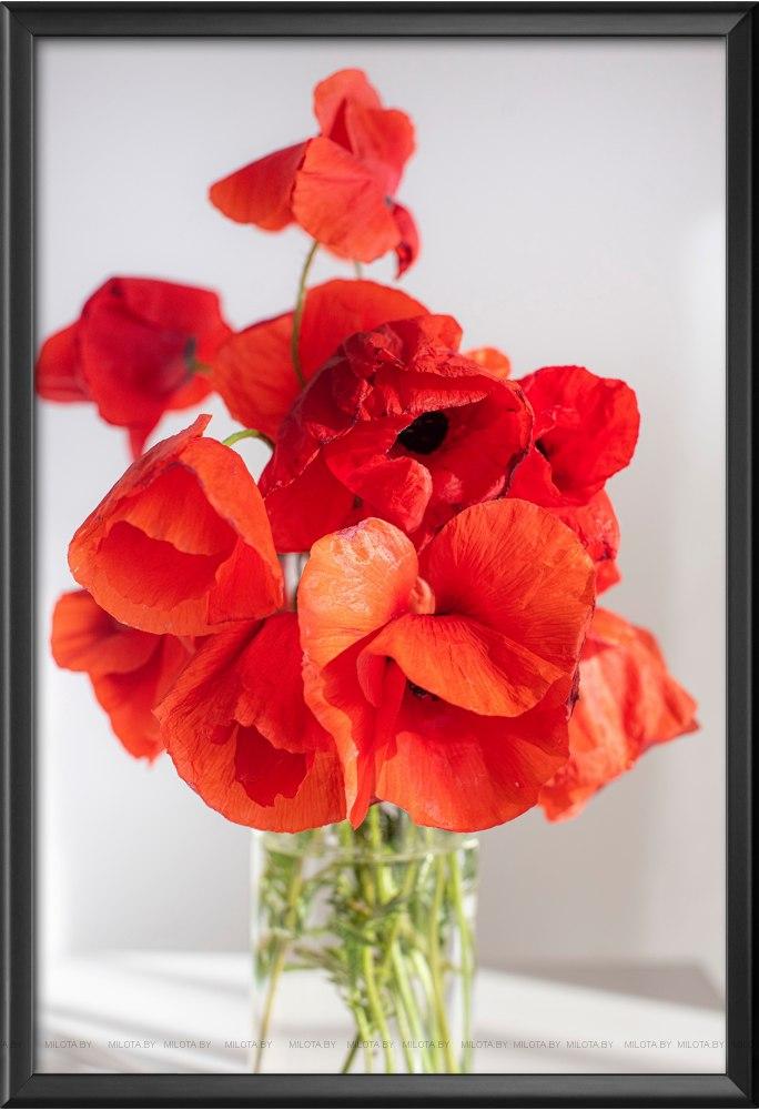 Set of posters "Poppies"