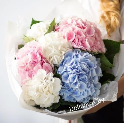 Bouquet of hydrangeas "Sara"