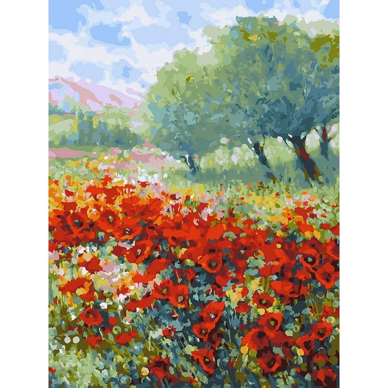 Painting by numbers "Spring in Provence"