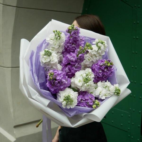 Bouquet of matthiola "Emilia"