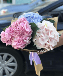Bouquet of hydrangeas "Mix"