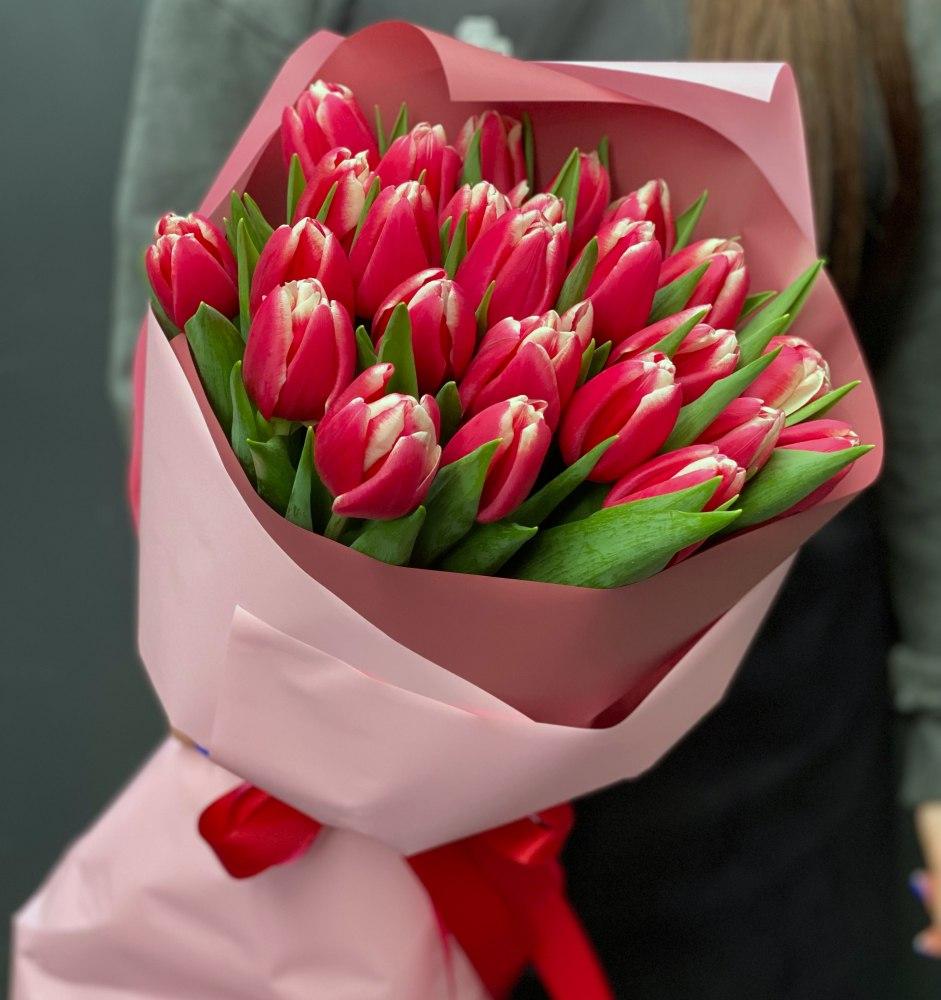 Bouquet of tulips "Raspberry-white 25"
