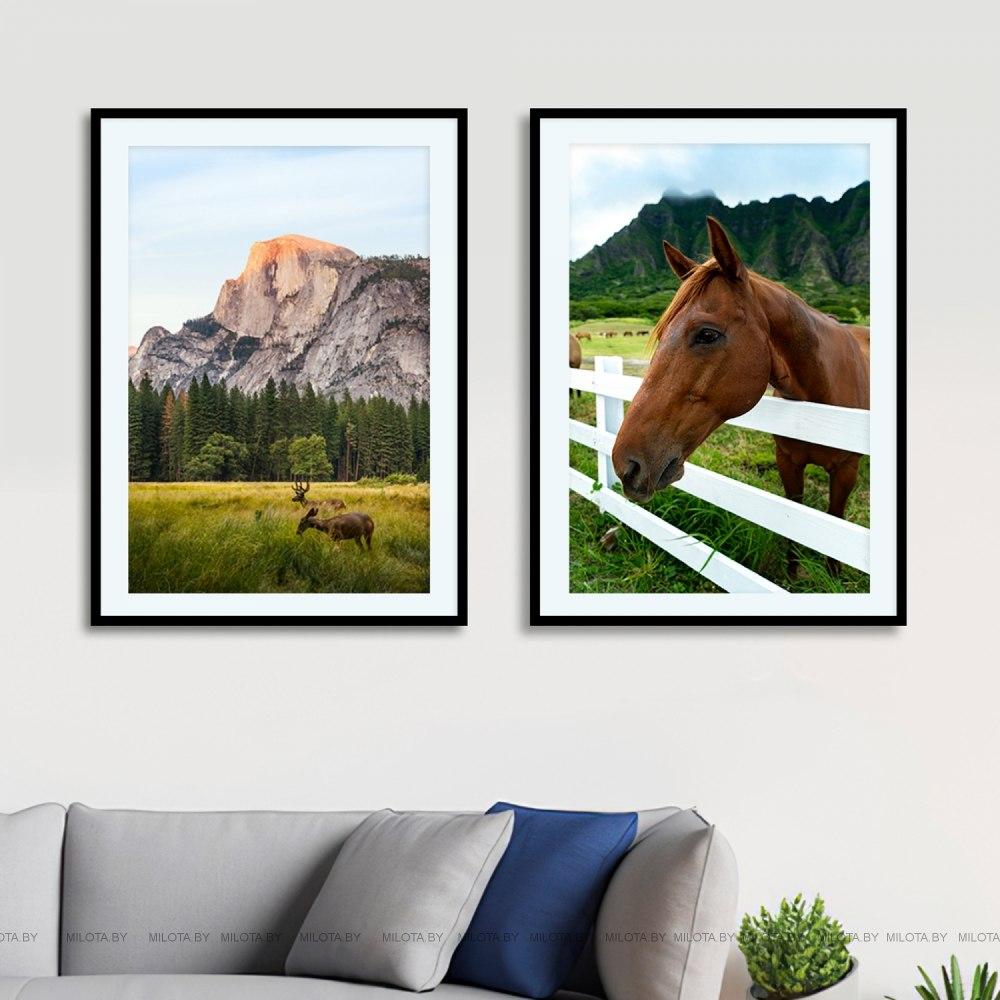 Set of posters "Horse stories"