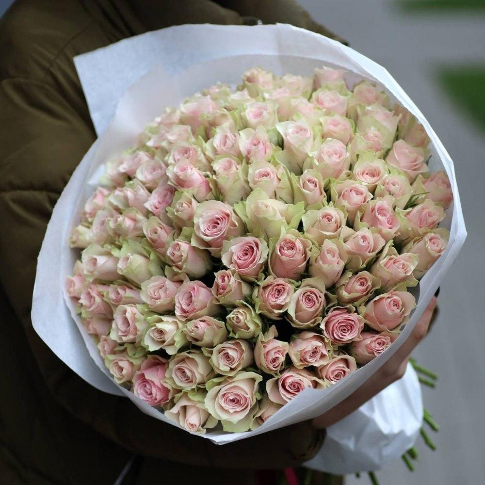 Bouquet of roses "101 Pink Atena plus"