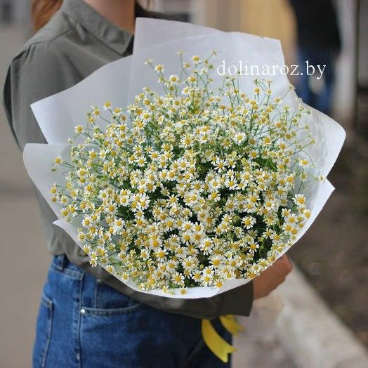 Bouquet of daisies "Lightness"