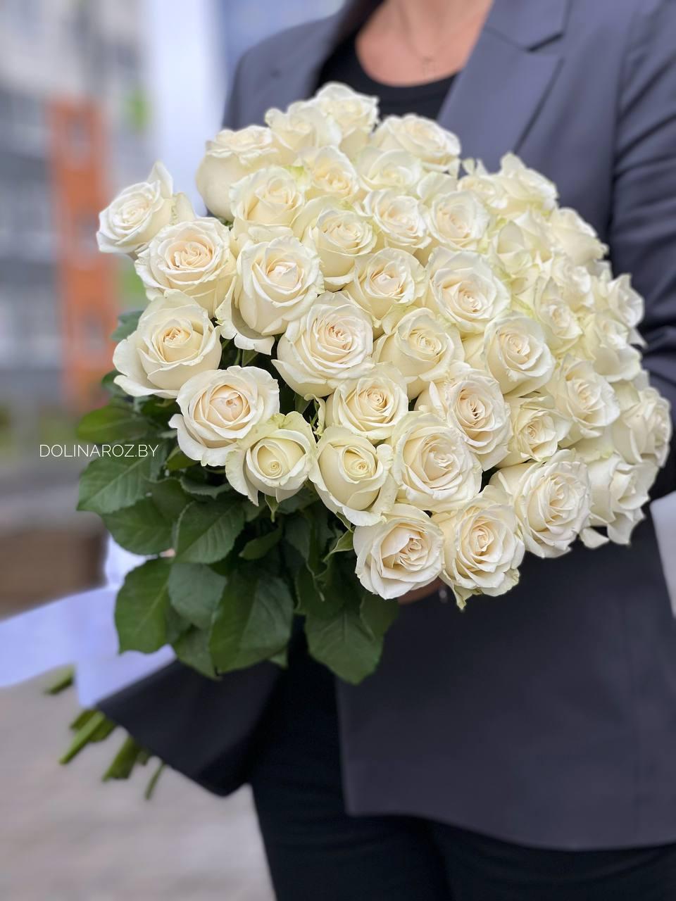 Bouquet of roses "Snow White"