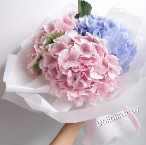 Bouquet of hydrangeas "Tender"