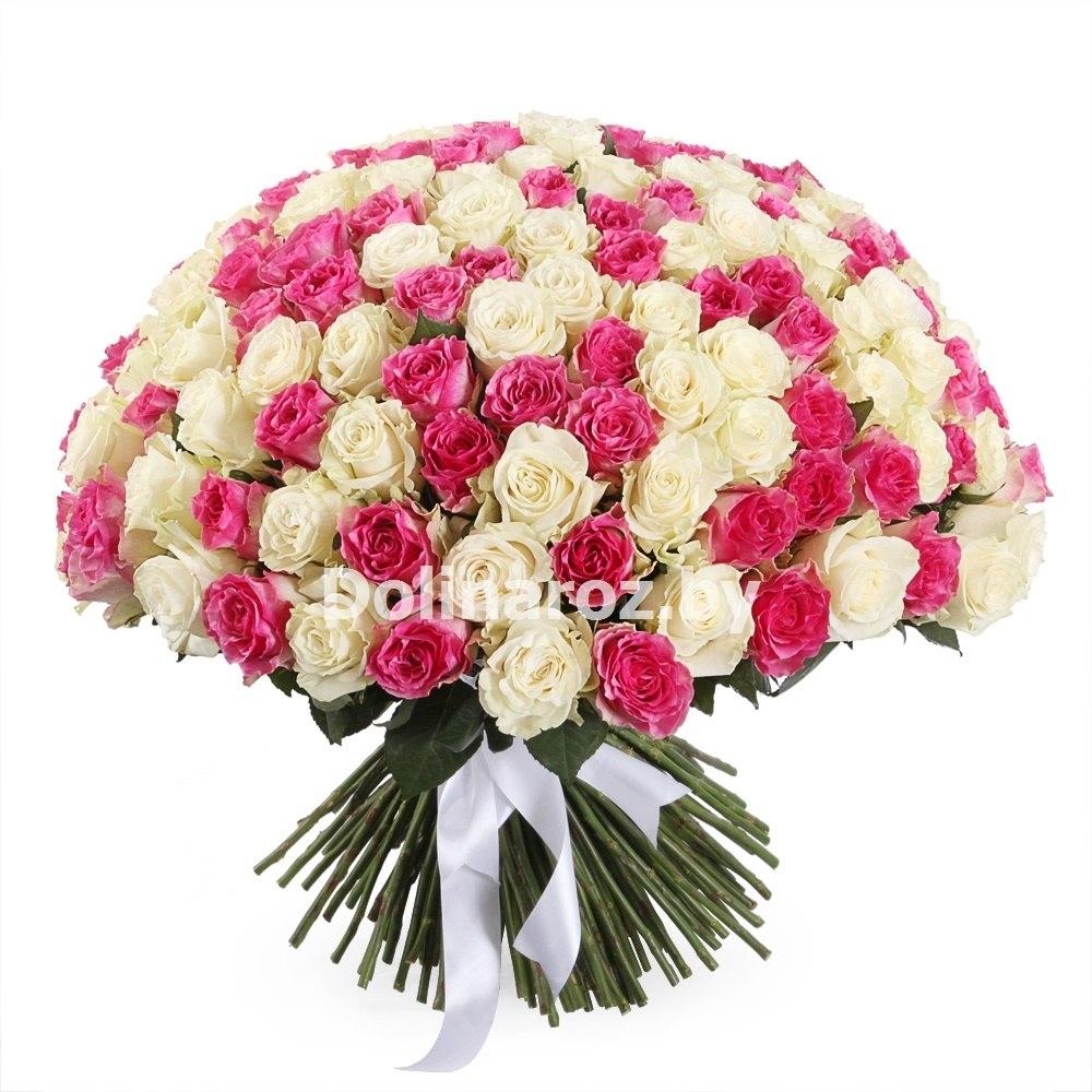 Bouquet of roses "Immense"