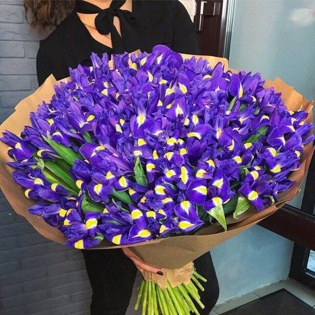 Bouquet of irises "Cindy"