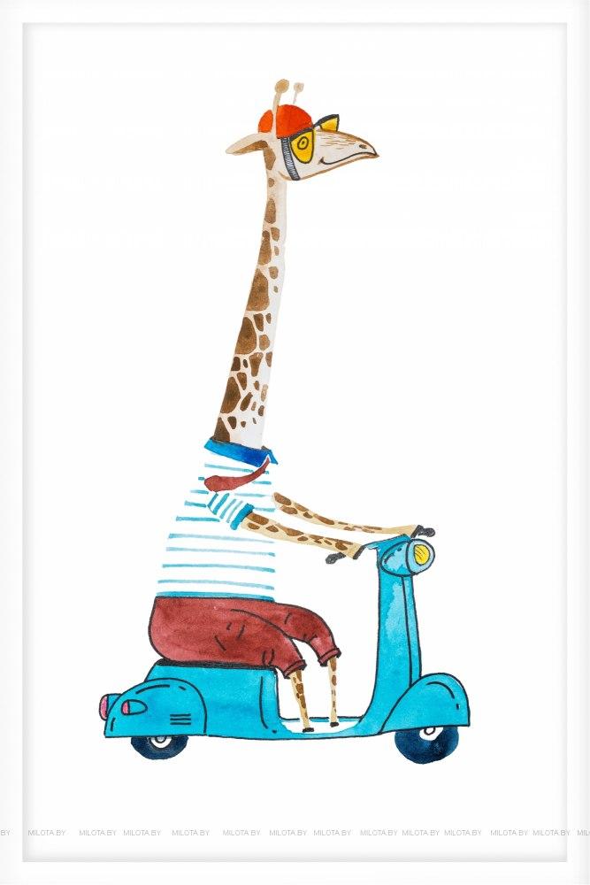 Poster "Giraffe on a scooter"