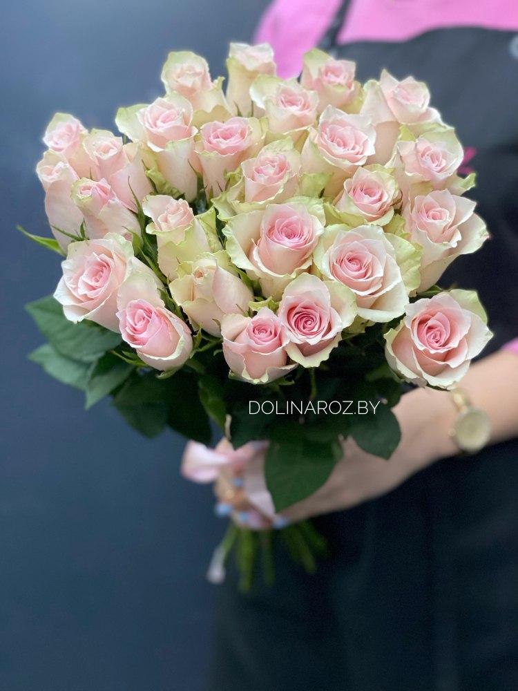 Bouquet of roses "Pink Athena 25"