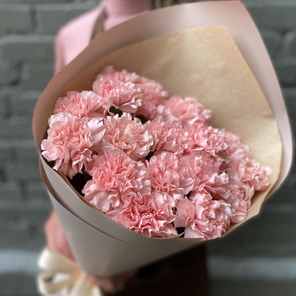 Pink carnation (dianthus)