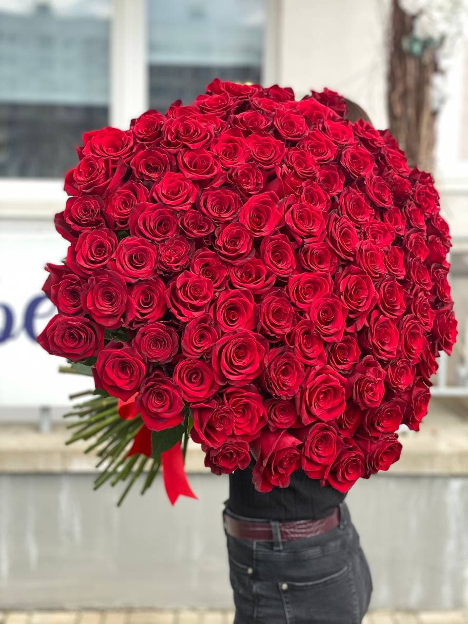 Rose Explorer Ecuador