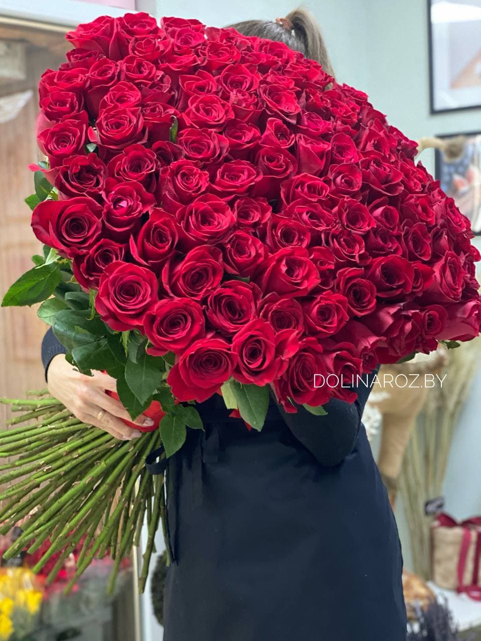 Rose Explorer Ecuador