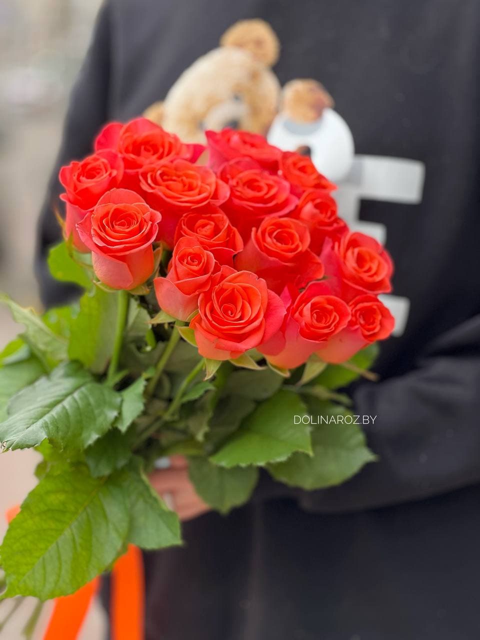 Rosa Wow (Wow) Belarus