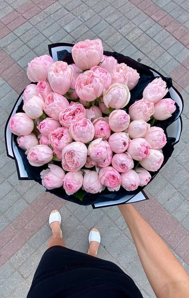 15 веток кустовых пионовидных роз Мэнсфилд Парк "Райский"