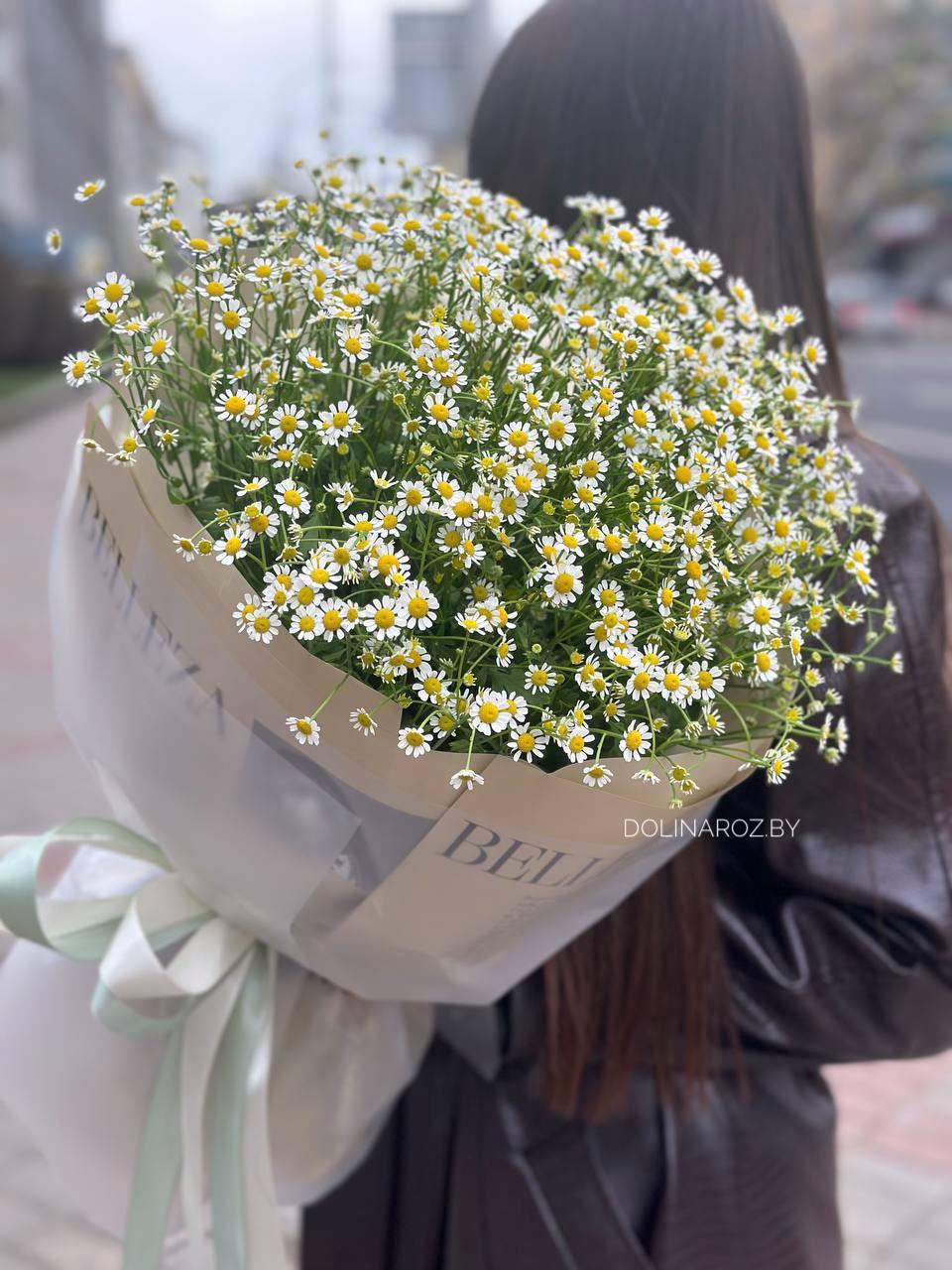 Bouquet of daisies "Eridan"