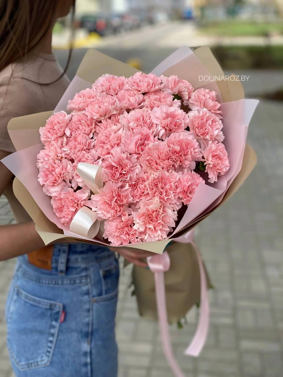 Bouquet of carnations "Adagio"