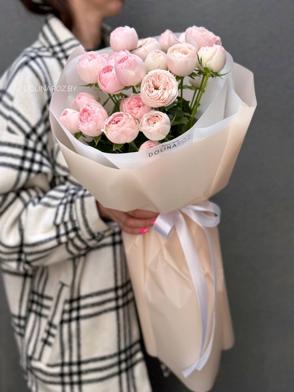 7 кустовых пионовидных роз Мэнсфилд Парк "Изящный"