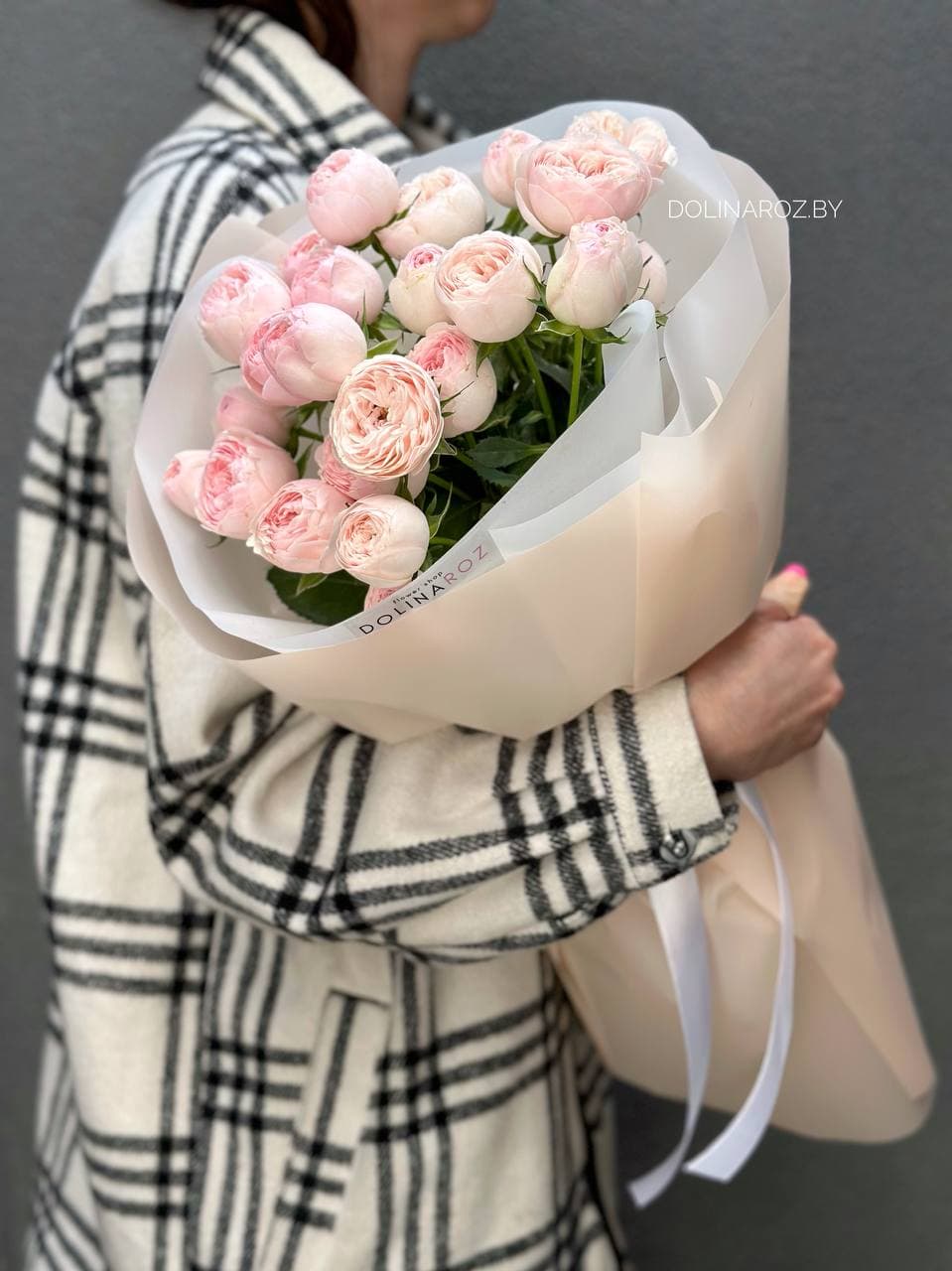 7 кустовых пионовидных роз Мэнсфилд Парк "Изящный"