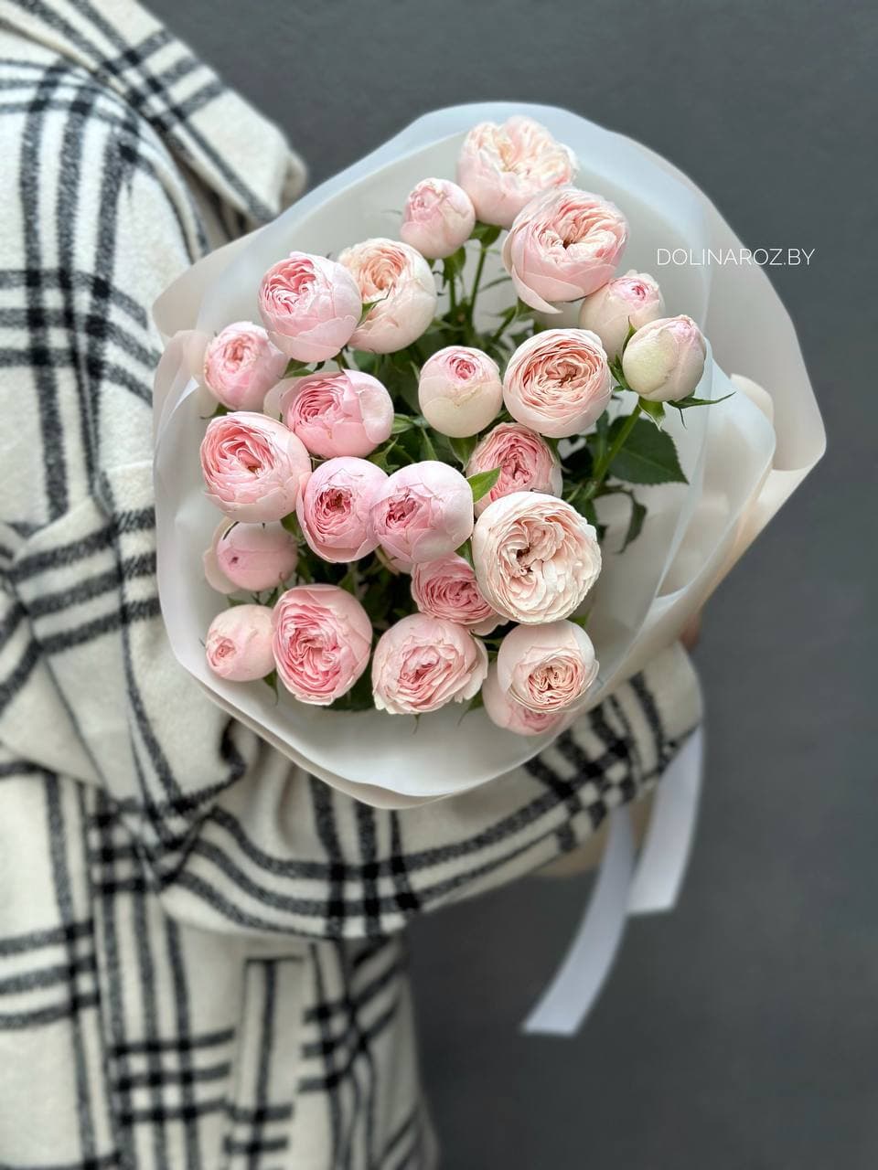 7 кустовых пионовидных роз Мэнсфилд Парк "Изящный"