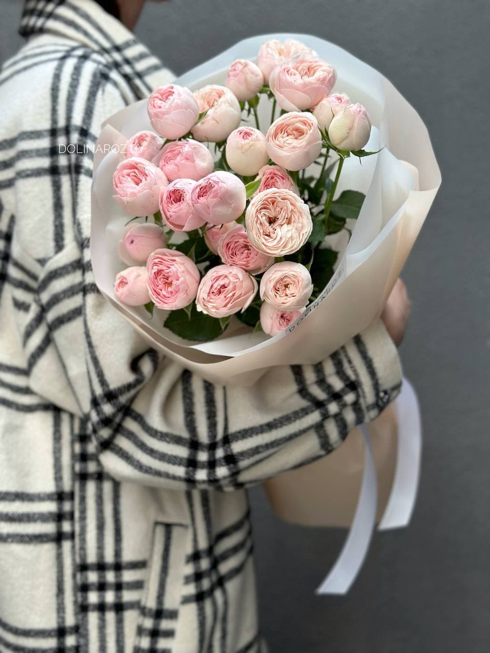 7 кустовых пионовидных роз Мэнсфилд Парк "Изящный"