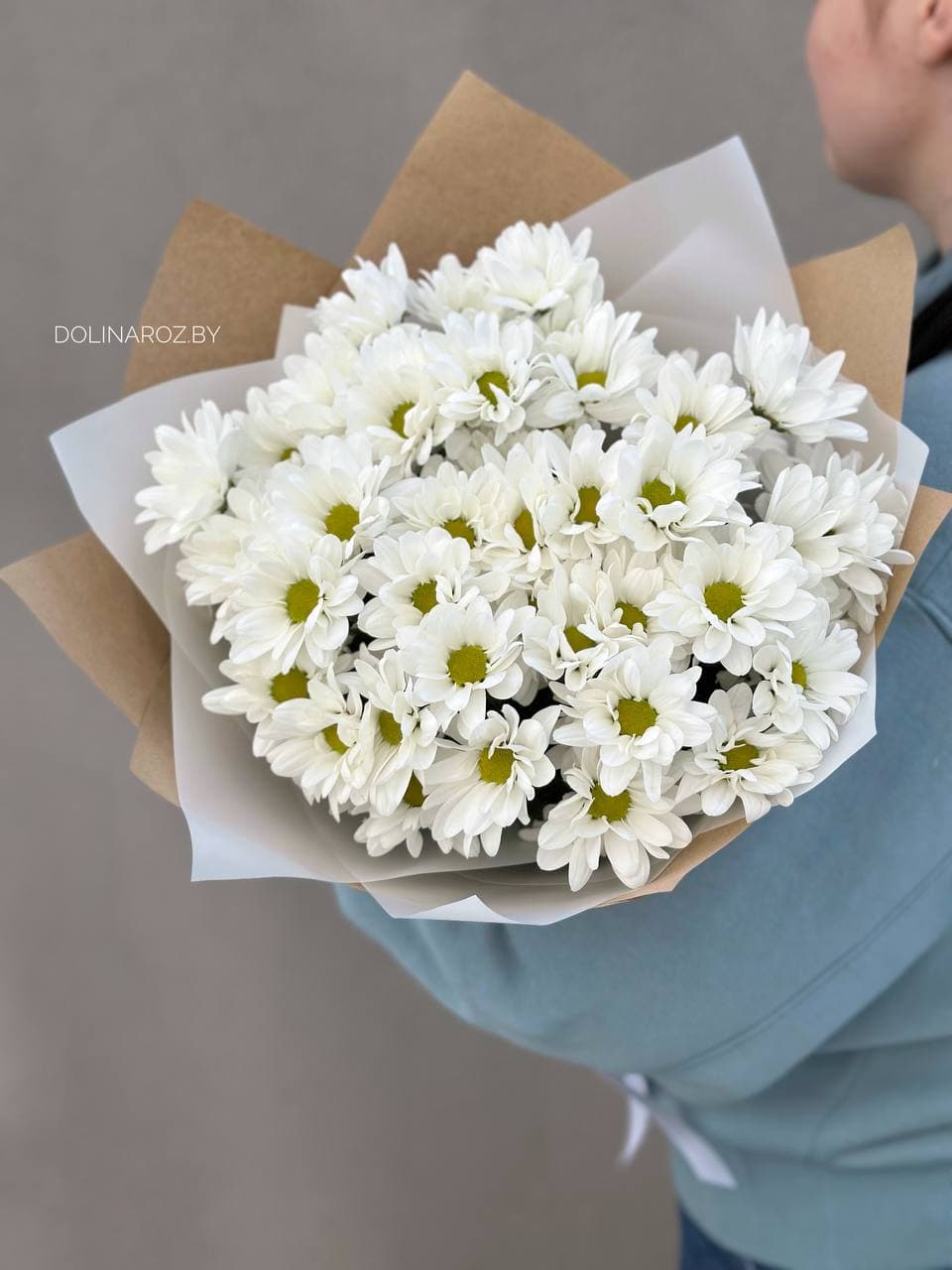 7 веток ромашек "Белая бакарди"